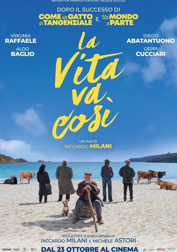 Film "La vita va così"