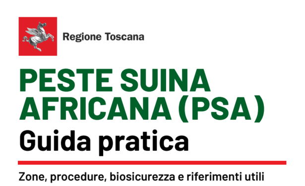 peste suina africana