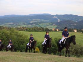 TORNA LA RASSEGNA DEL CAVALLINO DI MONTERUFOLI